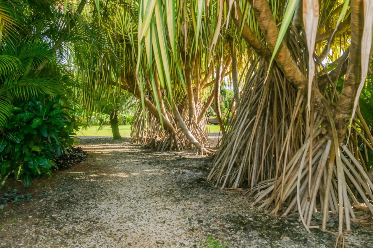 Aroha Taveuni Beachfront Bures Waiyevo Exterior foto